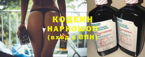 хмурый Аркадак