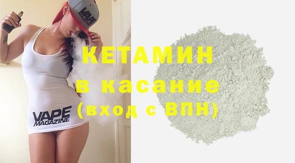 хмурый Аркадак