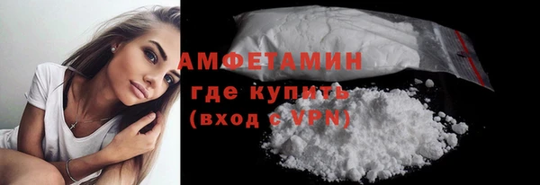 молекула духа Арсеньев