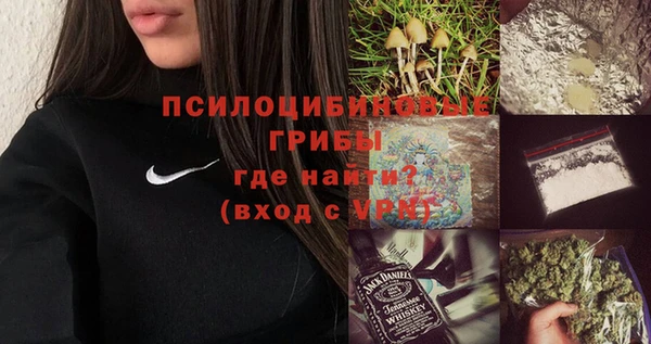 хмурый Аркадак