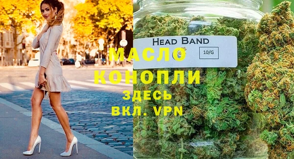 хмурый Аркадак