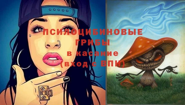 молекула духа Арсеньев