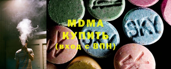 хмурый Аркадак