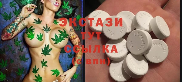 молекула духа Арсеньев