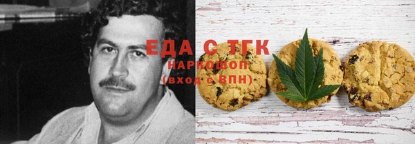 хмурый Аркадак