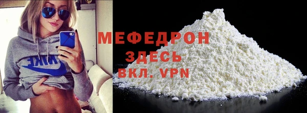 хмурый Аркадак